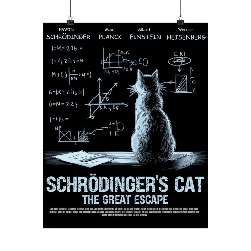 Schrodinger’s cat matte poster - 16″ x 20″ / Matte - Poster