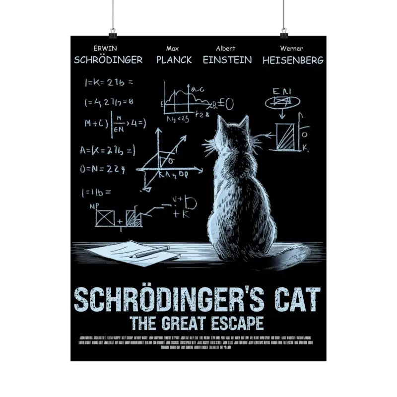 Schrodinger’s cat matte poster - 22’’ x 28’’ / Matte - Poster