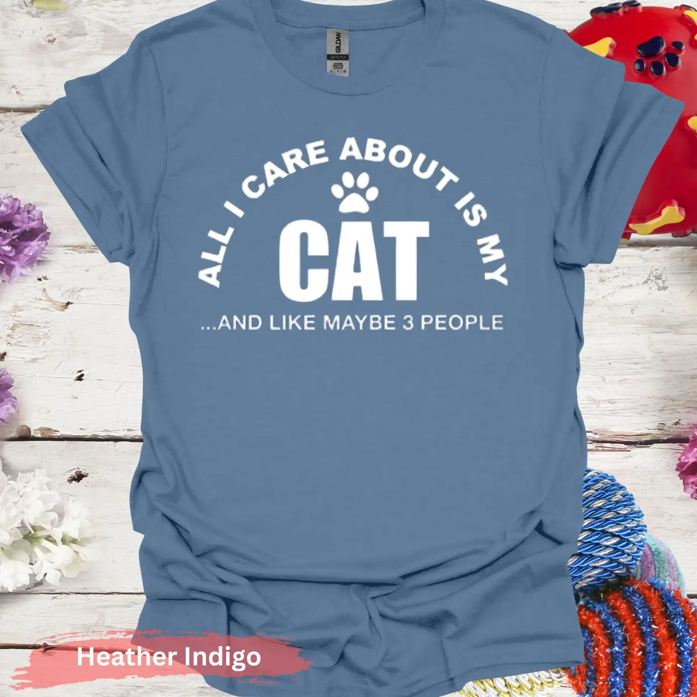 All I Care About Is My Cat T-Shirt - S / Heather Indigo - Physical Item