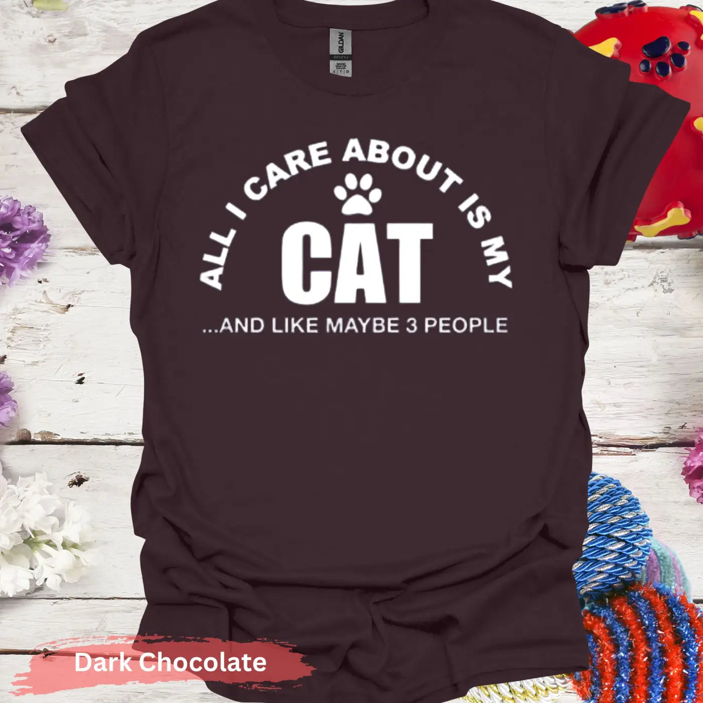 All I Care About Is My Cat T-Shirt - S / Dark Chocolate - Physical Item