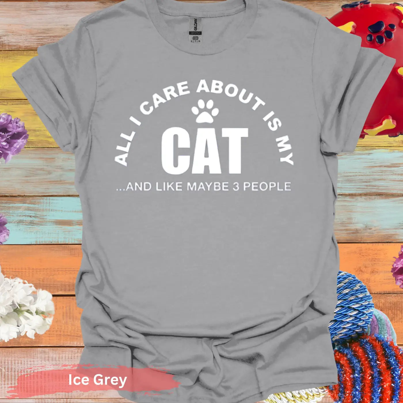 All I Care About Is My Cat T-Shirt - S / Ice Grey - Physical Item