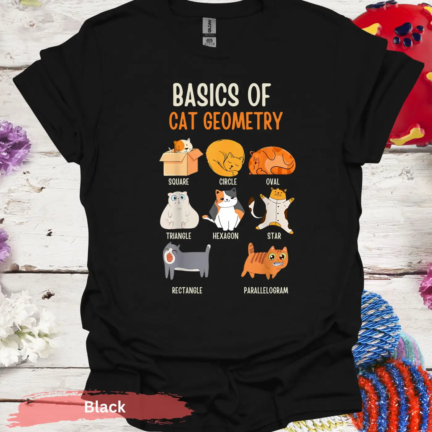 Basics of Cat Geometry Funny T-Shirt - S / Black - Physical Item