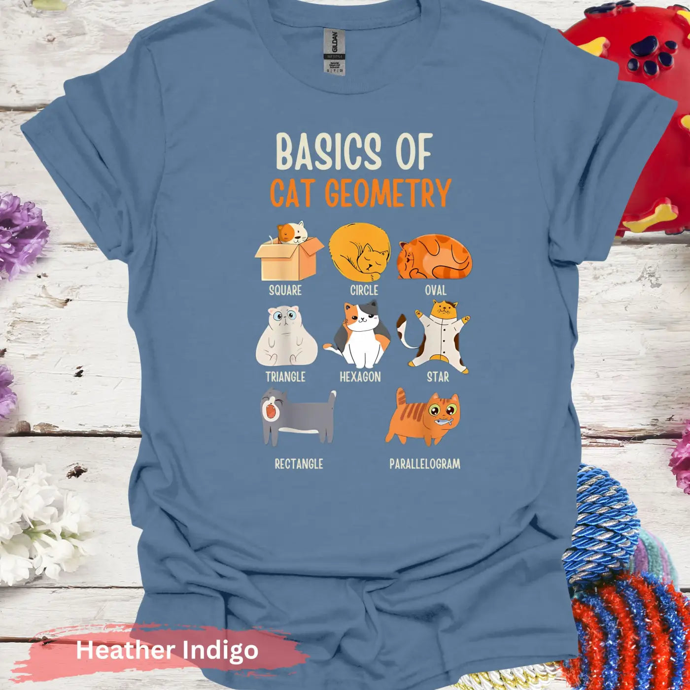 Basics of Cat Geometry Funny T-Shirt - S / Heather Indigo - Physical Item