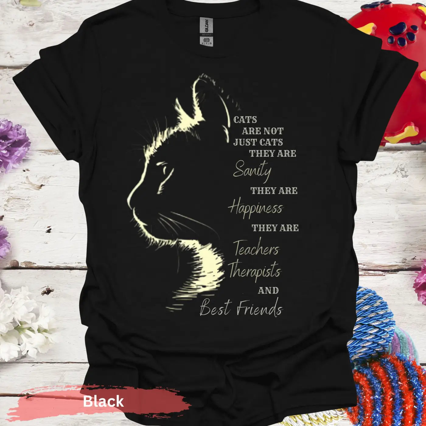 Cats Are Not Just T-shirt - S / Black - Physical Item