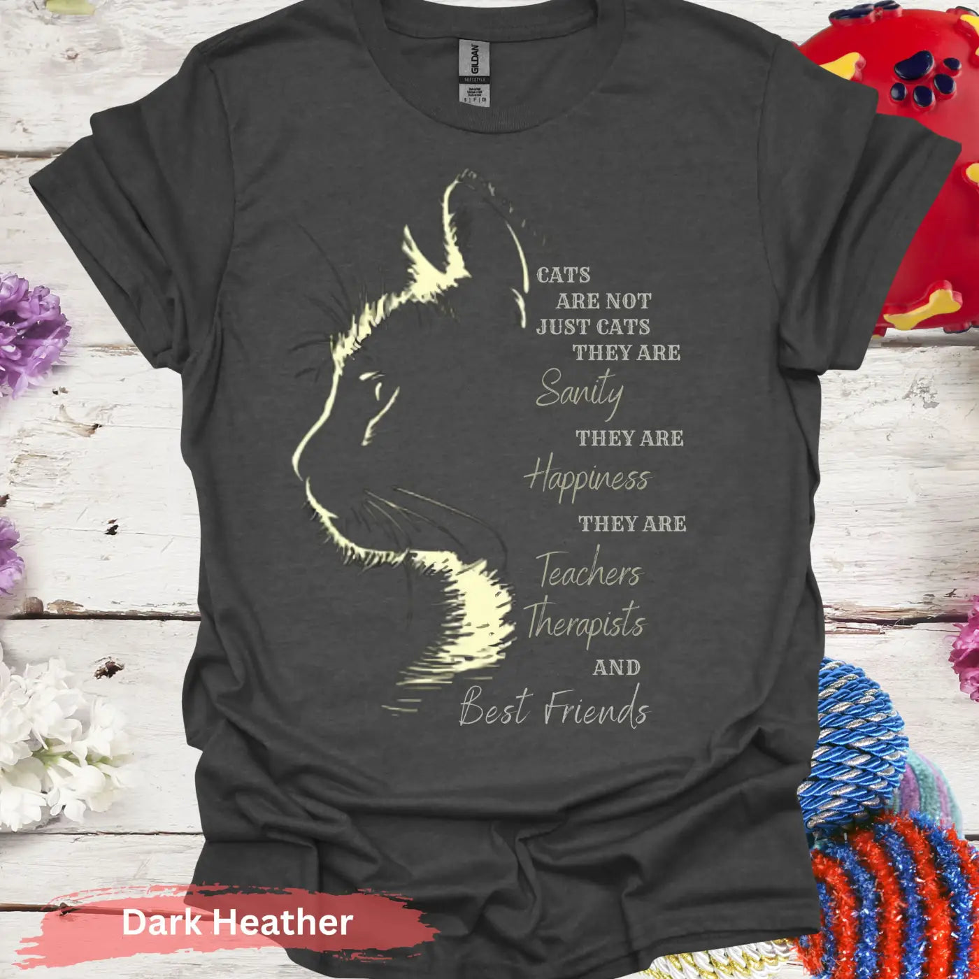 Cats Are Not Just T-shirt - S / Dark Heather - Physical Item