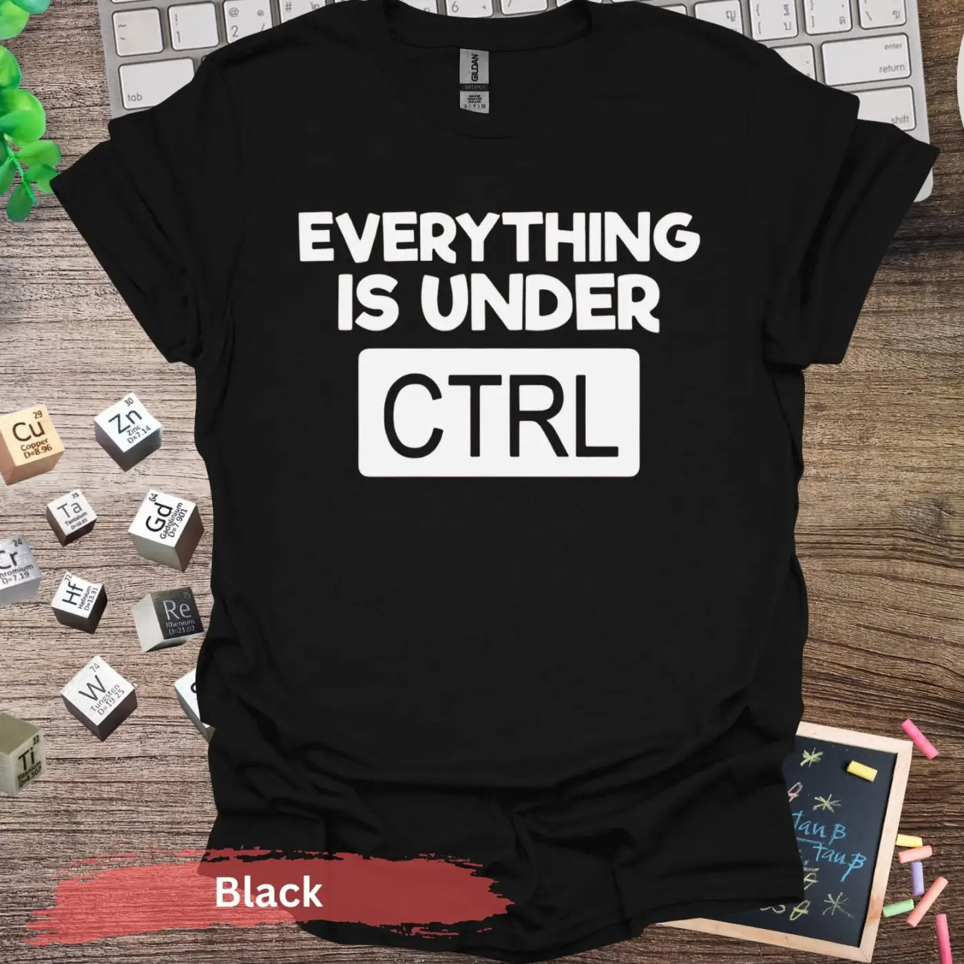 Everything is Under CTRL T-shirt - S / Black - Physical Item