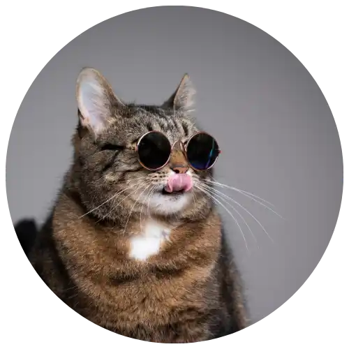 Tabby cat wearing round sunglasses with its tongue sticking out.